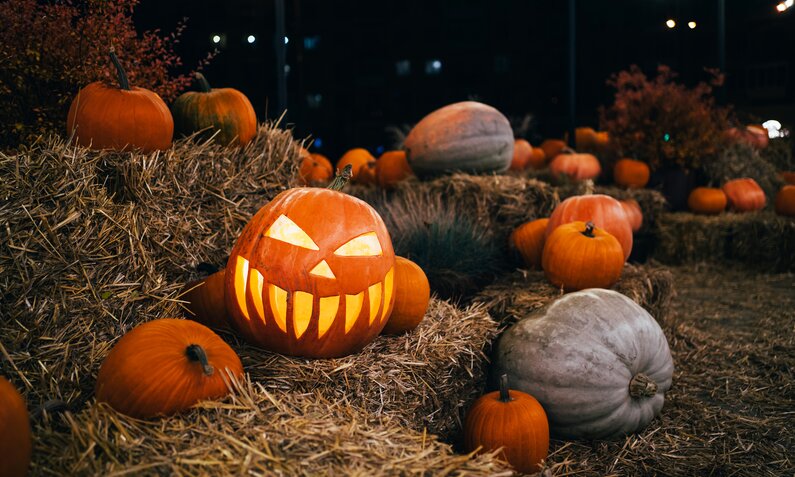 Halloween-Kürbis im Stroh | ©  Getty Images / Anna Efetova