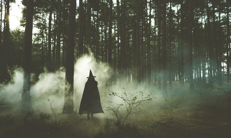 Hexe in nebeligen Wald | ©  Getty Images / Colin Roberts