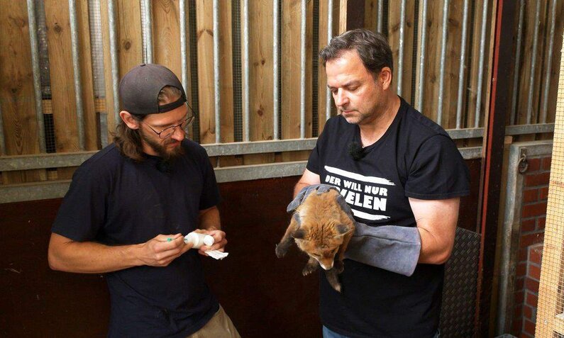 Tierpfleger Jacek Nitsch (links) und Martin Rütter kümmern sich im Tierheim um einen Fuchs.  | © RTL