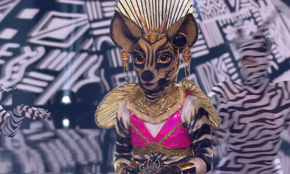 Okapi | © ProSieben/Screenhot