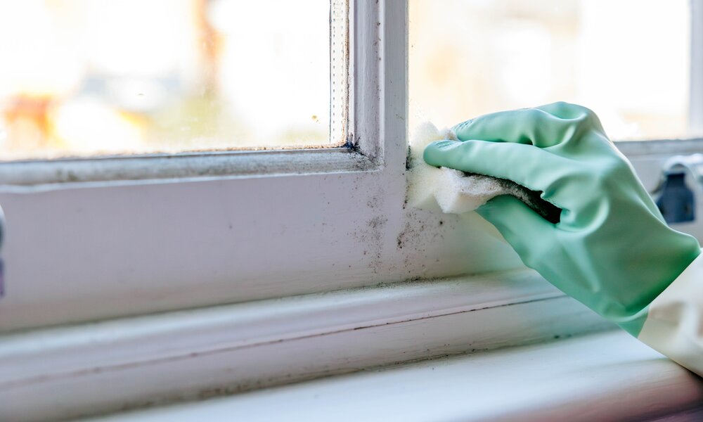 Schimmel am Fenster | ©  Getty Images / FotoDuets