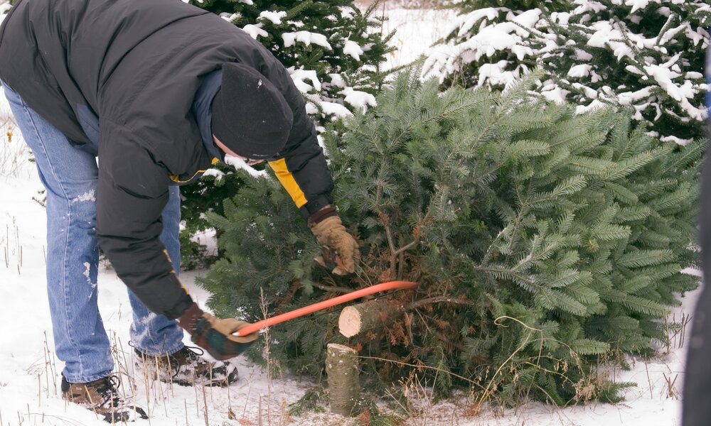 Mann schlägt Baum im Wald | ©  Getty Images / pablohart