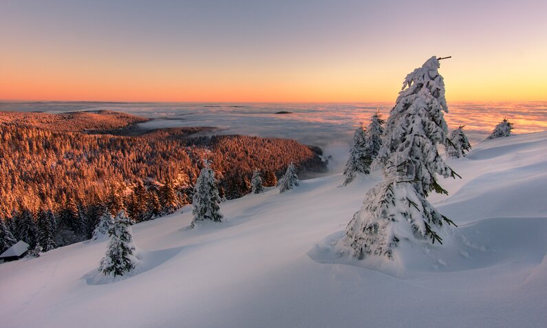 Winterliche Kulisse im Schwarzwald | ©  Getty Images / TimHalstenbach