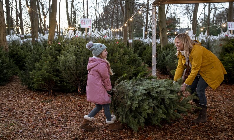 Mutter und Tochter tragen gekauften Weihnachtsbaum. | © Getty Images / SolStock