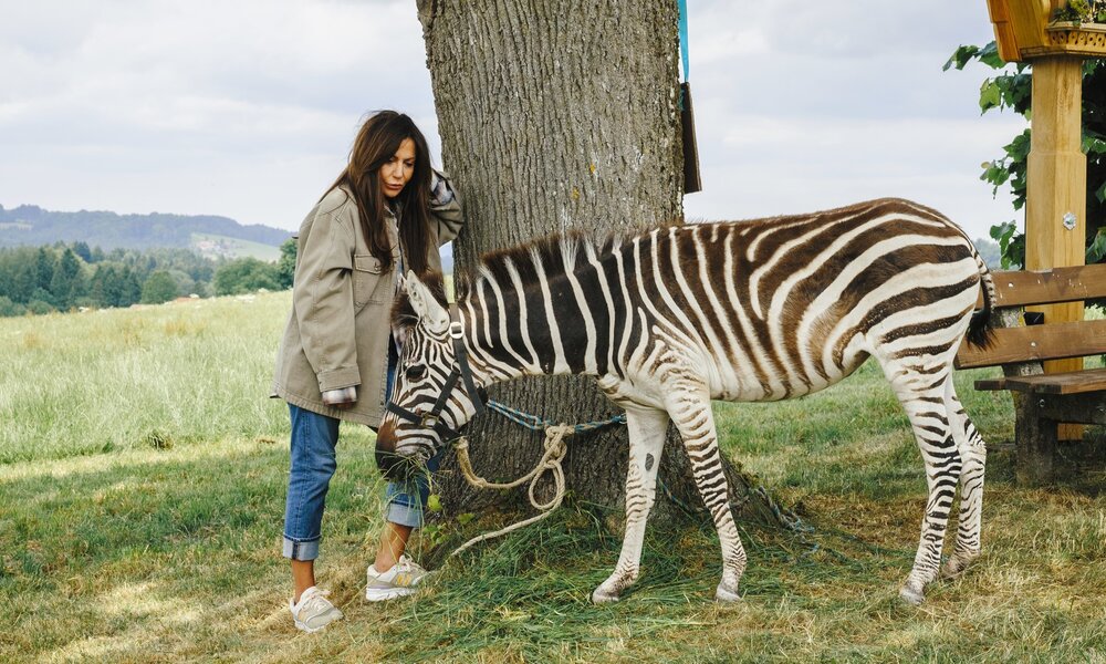 Ein Zebra im Gepäck | © ZDF/Hendrik Heiden