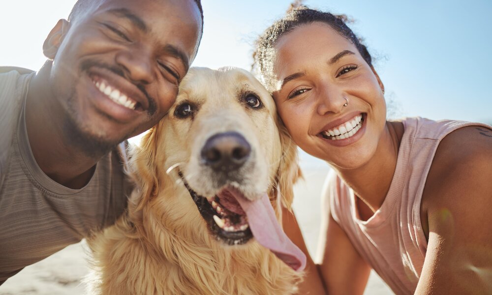 Pärchen mit Hund | ©  Shutterstock / PeopleImages.com - Yuri A