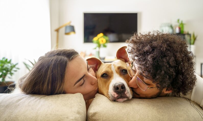  Pärchen küsst Hund | ©  Getty Images / Vera Vita