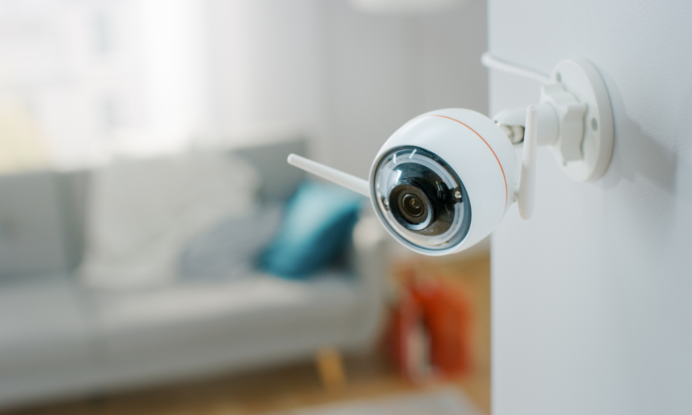 Sicherheitskamera in der Wohnung | ©  Getty Images / gorodenkoff