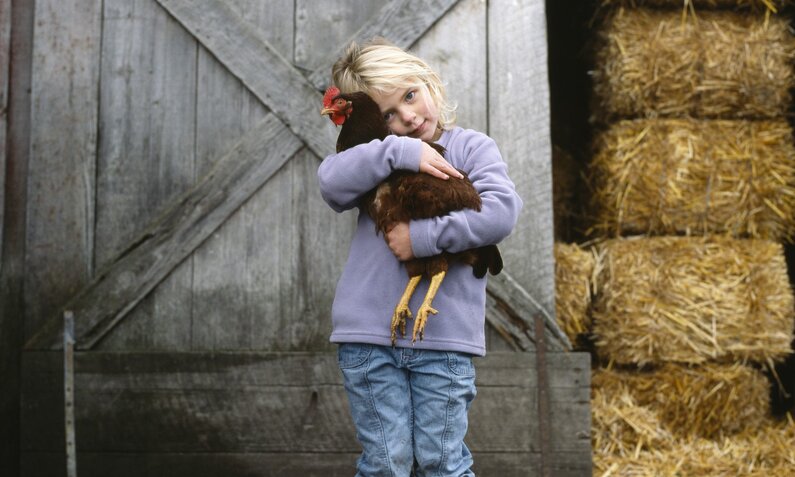 Mädchen hält ein Huhn auf dem Arm | © Getty Images / The Image Bank / Karen Moskowitz