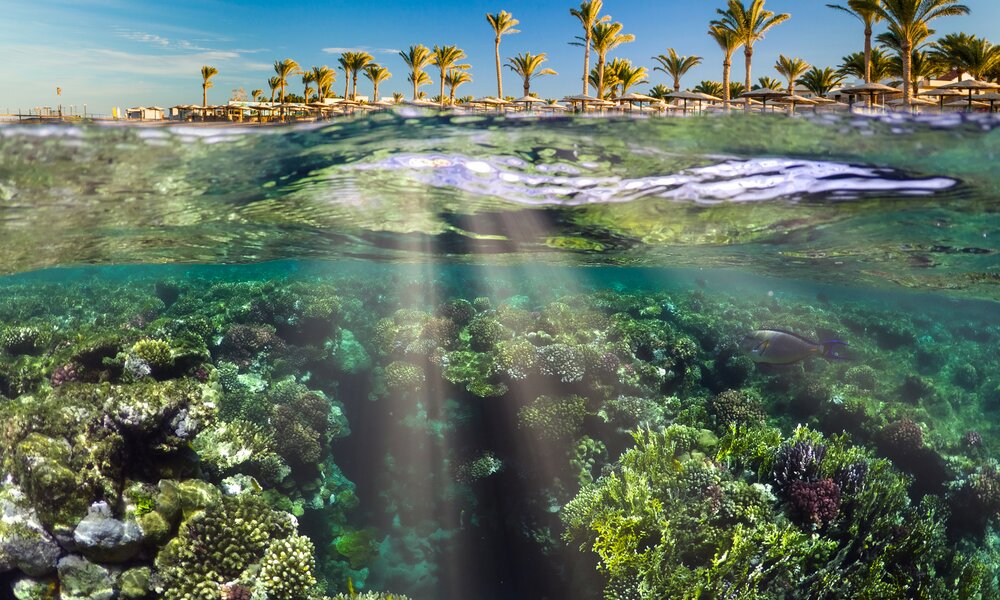 Marsa Alam_Ägypten | © Getty Images/Anton Petrus