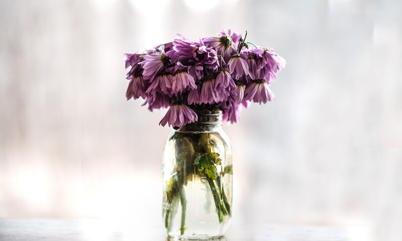 Verwelkte Blumen in einer Vase | ©  Getty Images/ Cavan Images
