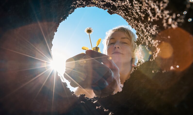 Frau pflanzt Gänseblümchen ein  | ©  Getty Images/ rbkomar