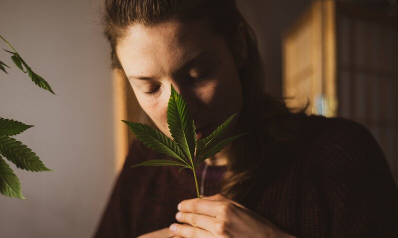 Cannabis_Mythen | © Getty Images/Pippa Samaya