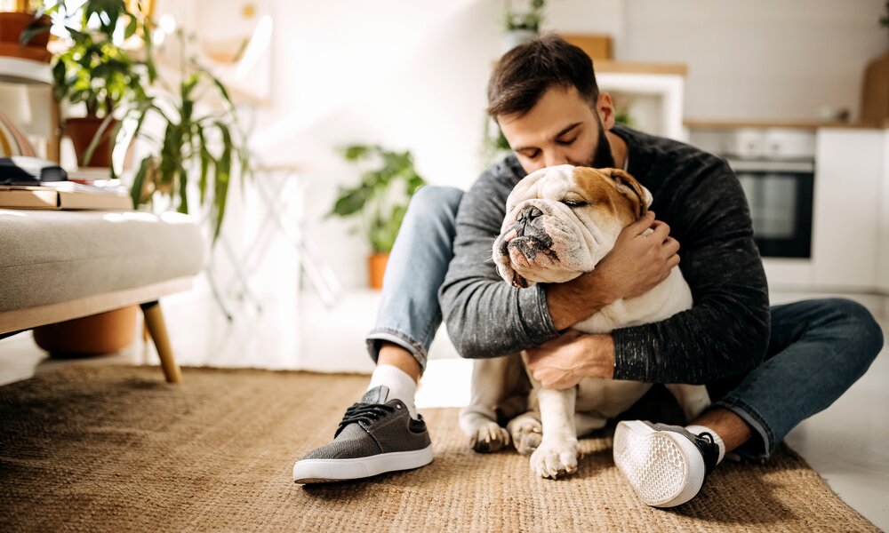 Junger Mann in Jeans umarmt liebevoll einen Bulldoggenhund in hellem Wohnzimmer. | © Getty Images/ Pekic