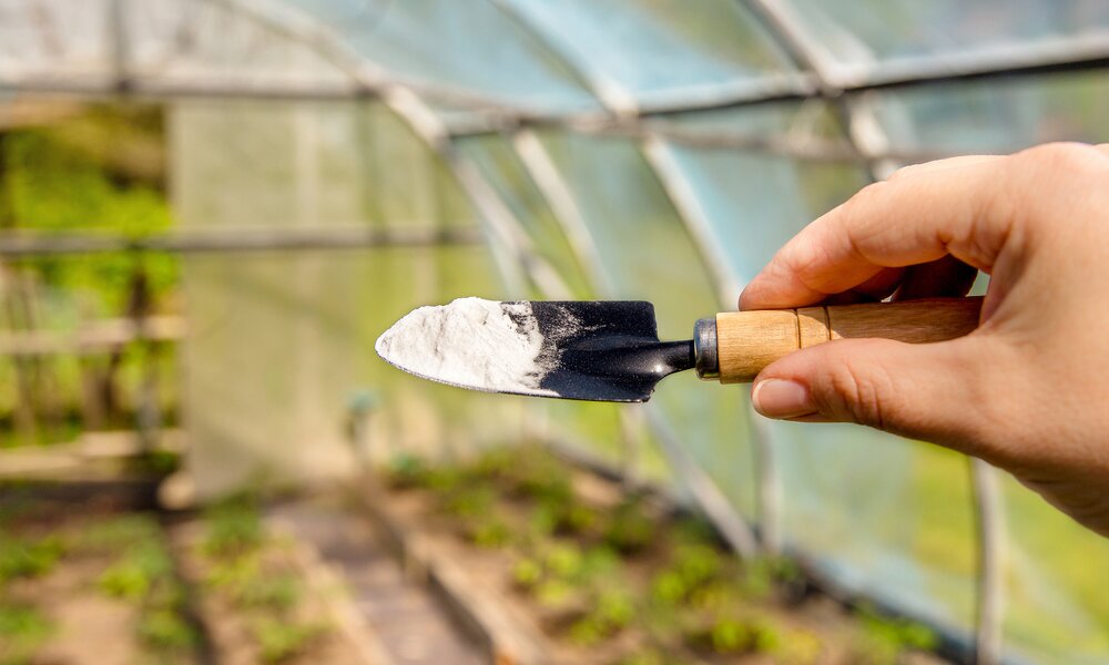 Schaufel mit Packpulver vor Gartenkulisse | © Getty Images/ Helin Loik-Tomson
