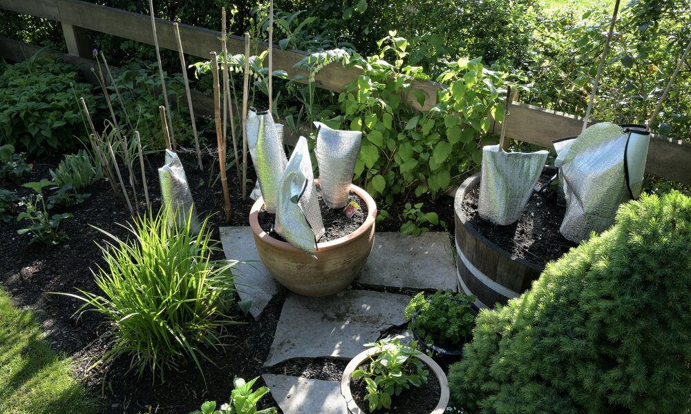 Pflanzen, die mit Gartenvlies bedeckt sind, um vor der Kälte geschützt zu werden | © Adobe Stock/ Thomas