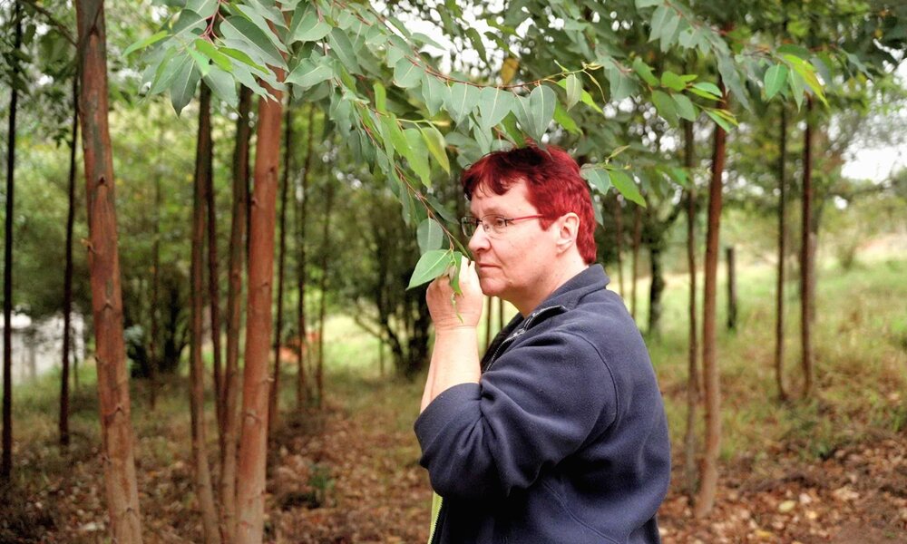 Frau mit roten Haaren riecht an Eukalyptusblättern im lichtdurchfluteten Wald. | © RTL