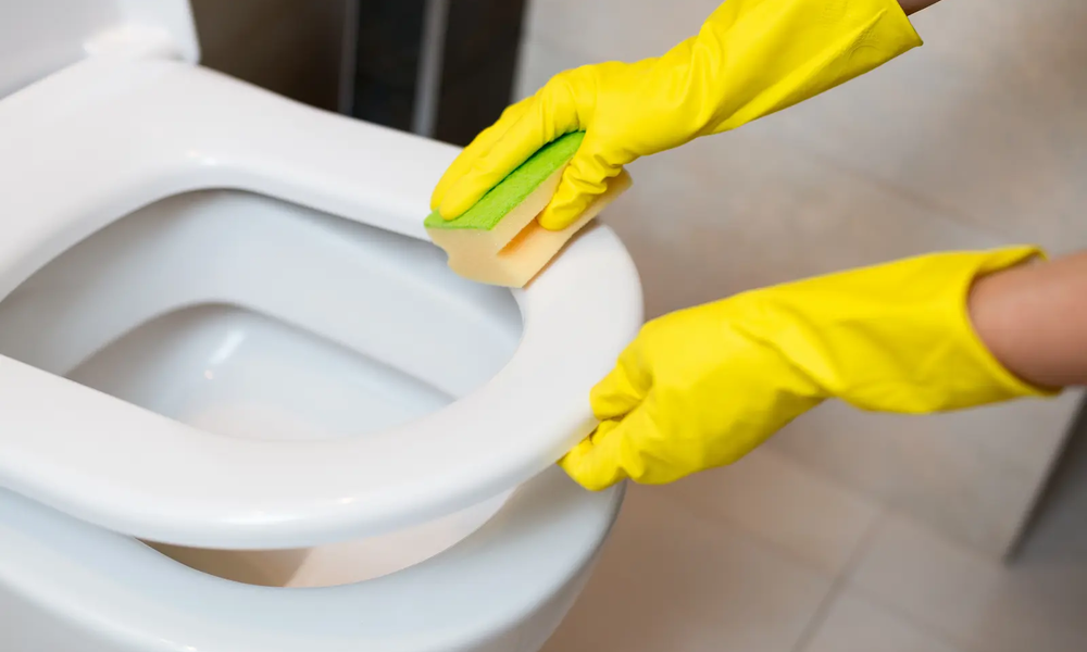 Frau mit gelben Handschuhen reinigt vergilbte Klobrille | © adobe.stock.com/Daniel Jędzura