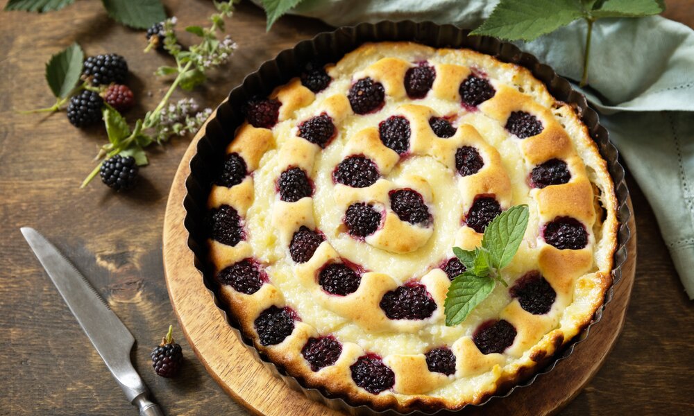 Quarkkuchen mit eingebackenen Brombeeren in einer Kuchenform, daneben frische Kräuter und Pflanzen. | © Adobe Stock /  elena_hramowa