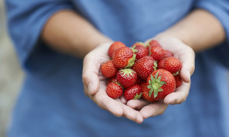 Darum solltest du mehr Erdbeeren essen | ©  Getty Images / Dougal Waters