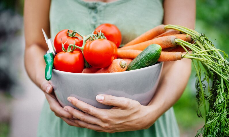 Frau hält Schüssel mit einem Bund Möhren, Tomaten und einer Zucchini | ©  Getty Images / Hinterhaus Productions