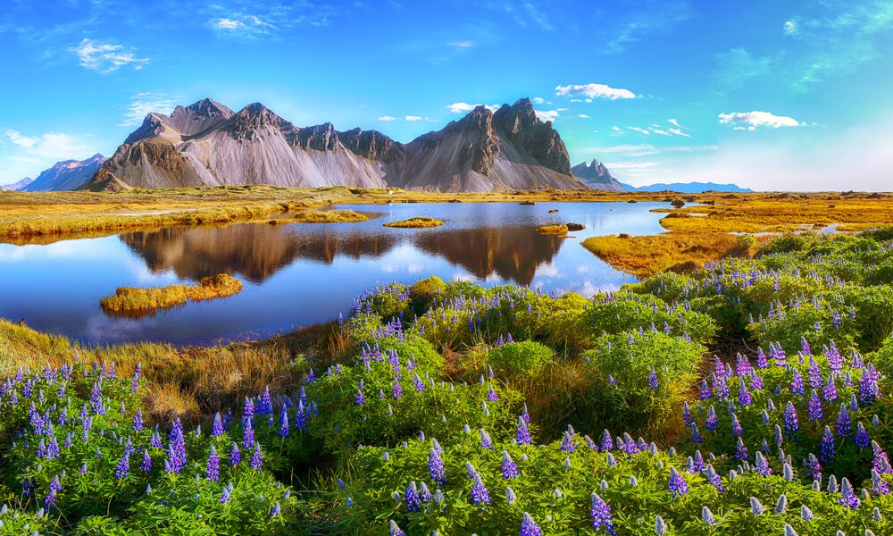 Island | © Getty Images/Pilat666