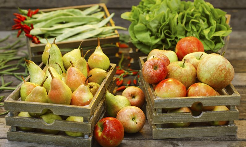 Körbe voll mit Birnen und Äpfeln, im Hintergrund Salat und Bohnen  | ©  Getty Images / poba