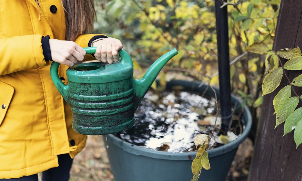  Frau holt mit Gießkanne Wasser aus Regentonne | ©  Getty Images / Imgorthand