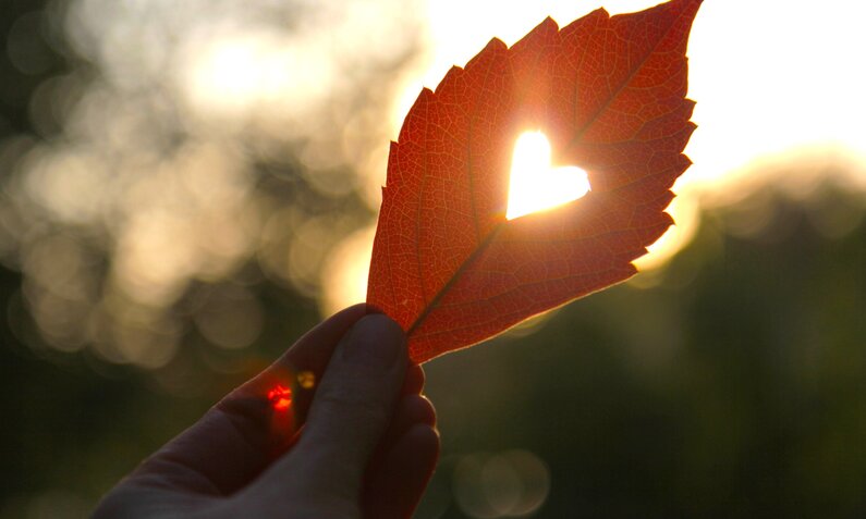 Astro-Liebe_Herbst | © Getty Images/taniche