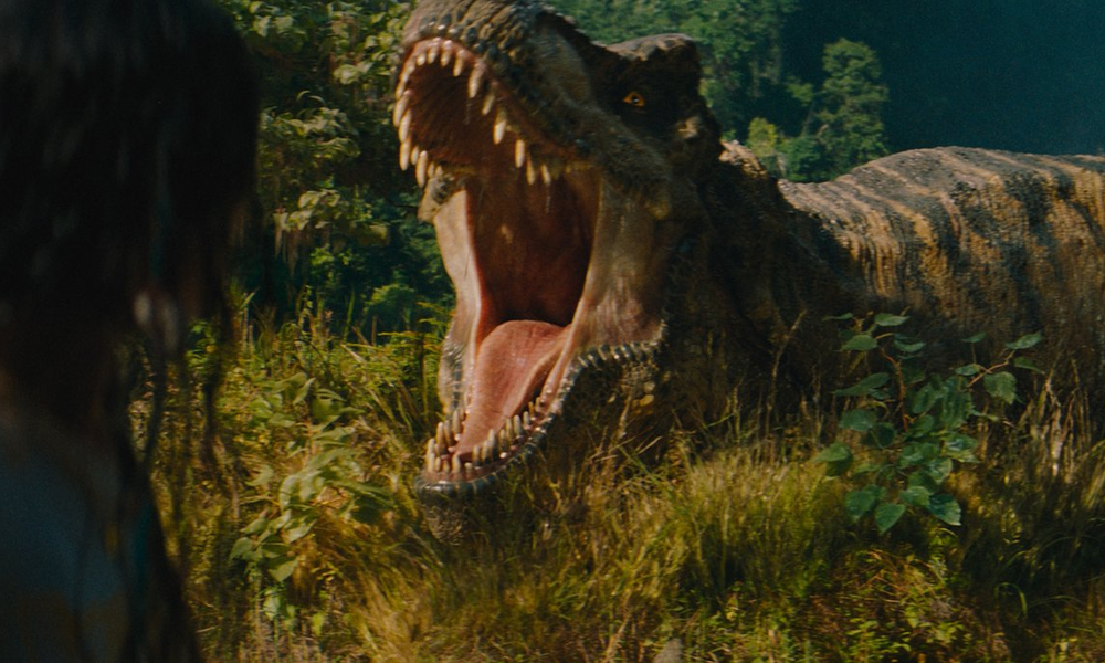 © © Universal Studios. All Rights Reserved.